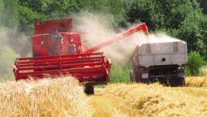 Bizon Z056 & Zetor Forterra 130HS, Autosan D47