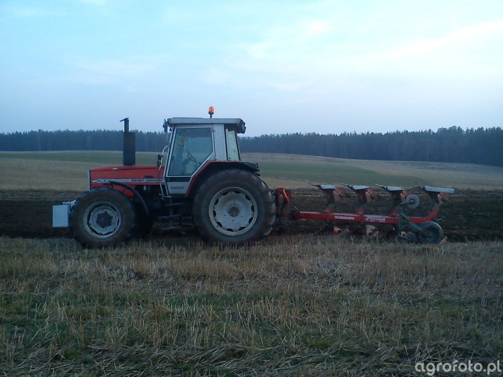 foto-ciagnik-massey-ferguson-3630-486712-galeria-rolnicza-agrofoto