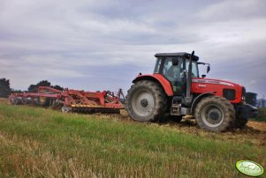 Massey Ferguson 6499