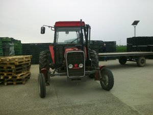 Massey Ferguson 255