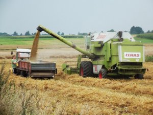 Ursus C-330M + rozrzutnik i Claas dominator 108S