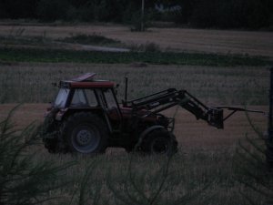 Ursus 1224