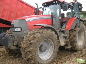 McCormick XTX 185