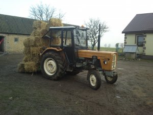 Ursus C-360 3P + Widły