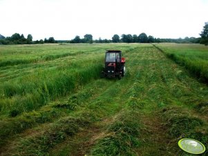 Massey Ferguson 255 + kosiarka