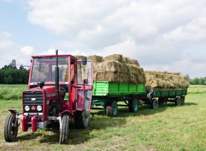 Massey Ferguson 255