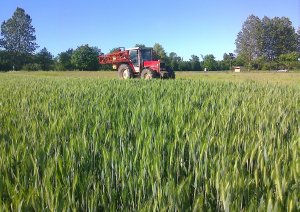 Massey Ferguson 3085