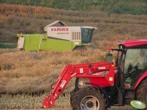 McCormick CX 110 + Claas Medion 310