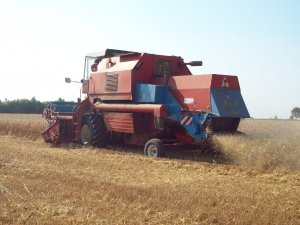 Bizon Rekord Z058