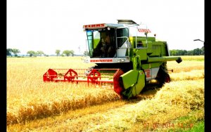 Claas Dominator 88ds