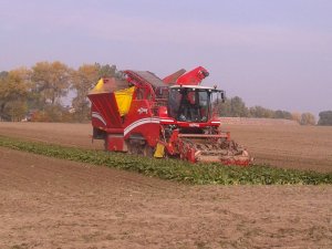 Grimme maxtron 620