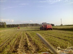 Mtz Belarus 1025 & Metal Fach , T25 & przyczepa