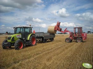 Claas Celtis 436 + Przyczepa i Weidemann 3002