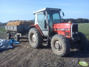 Massey Ferguson 3070 + przyczepa