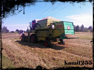 Claas Dominator 80