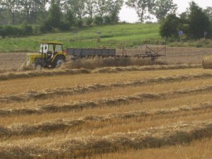 Ursus C-360 + przyczepy