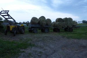 Ursus C-360 + przyczepy z belami