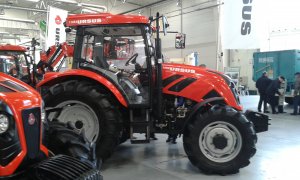 Ursus 11054