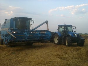 Bizon Dynamic z115 i Nh t6.140