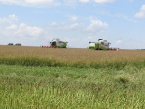 Claas Lexion 460 & 560