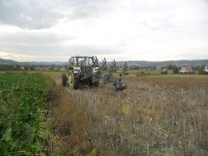 Ursus 1614 i Rabe Werk