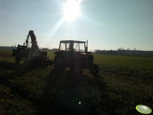 Massey Ferguson 255 + Gyro MK II