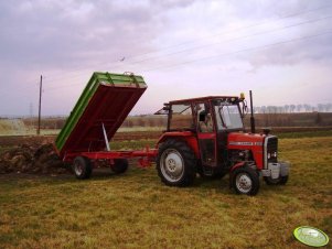 MF 255 + Przyczepa 3,5T