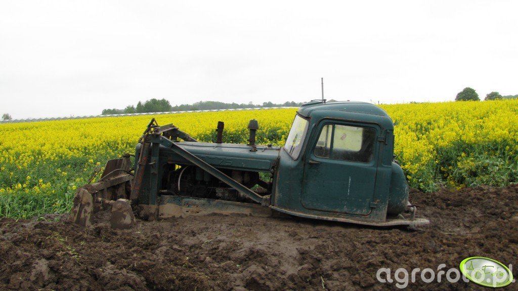 DT 75 - Obrazek, fotka, zdjecie, photo #219094 - Galeria rolnicza agrofoto