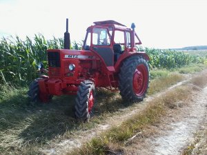 MTZ 82