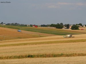 Panorama Żniw