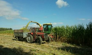 Massey Ferguson