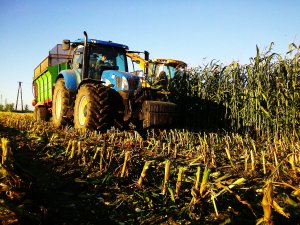 Nh T6080 + Tytan 11 + Nh FR450