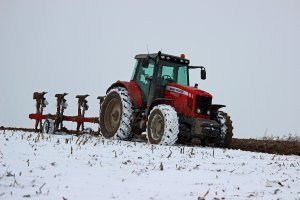 Massey Ferguson  7485 & Unia Grudziądz IBIS