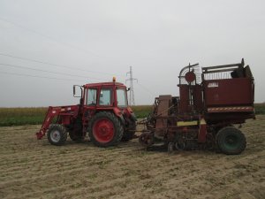 Mtz 82 + Neptun z413