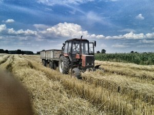 MTZ 82 TS i przyczepa 10 t