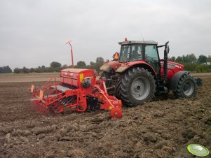 MF 6485 & Maschio/Gaspardo Dama