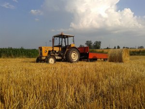 Ursus C-360 3P & przyczepa