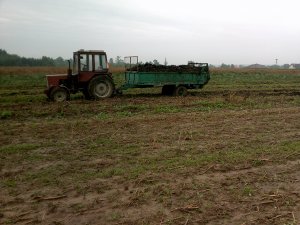 Czarna Białostocka + Władymirec T-25