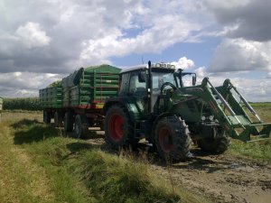 Fendt 311