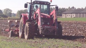 Massey Ferguson 5465 i Unia Ibis