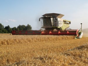 Claas Lexion 780 TT