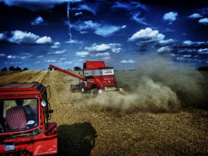 Massey Ferguson 7256 Cerea