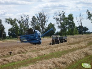 Bizon Rekord Z058 + Ursus