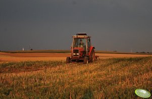 Massey Ferguson 3050 + gruber 1,8m