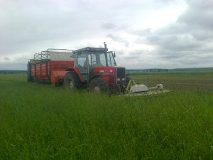 Massey Ferguson 3125