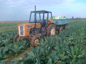 Ursus C-360-3P