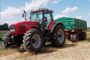 Massey Ferguson & Brandys