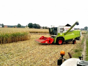 Claas Medion 310