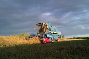 Bizon Rekord Z058 ze stołem do rzepaku