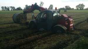 Weidemann